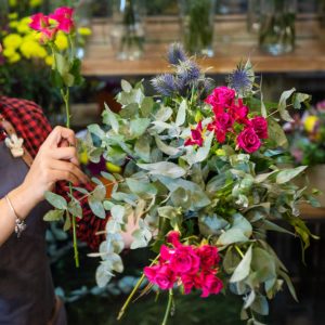 Beautiful, organic plant in the store